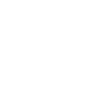 DiLyte