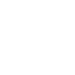Pulp