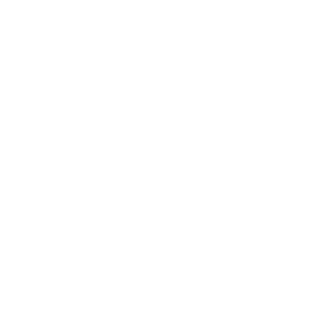 Volt