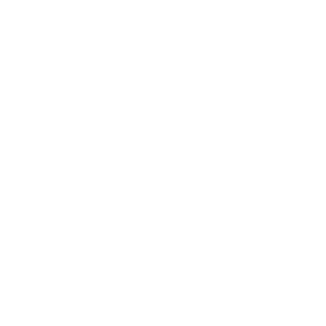 Animal P