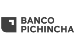 bancho-pichincha-gris